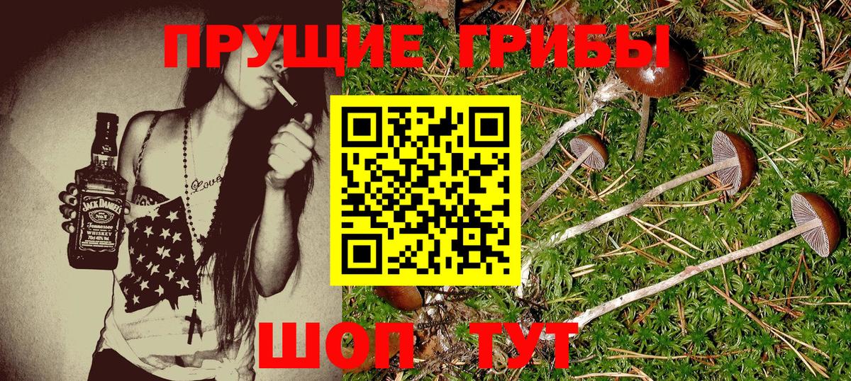 Галлюциногенные грибы мицелий Минусинск