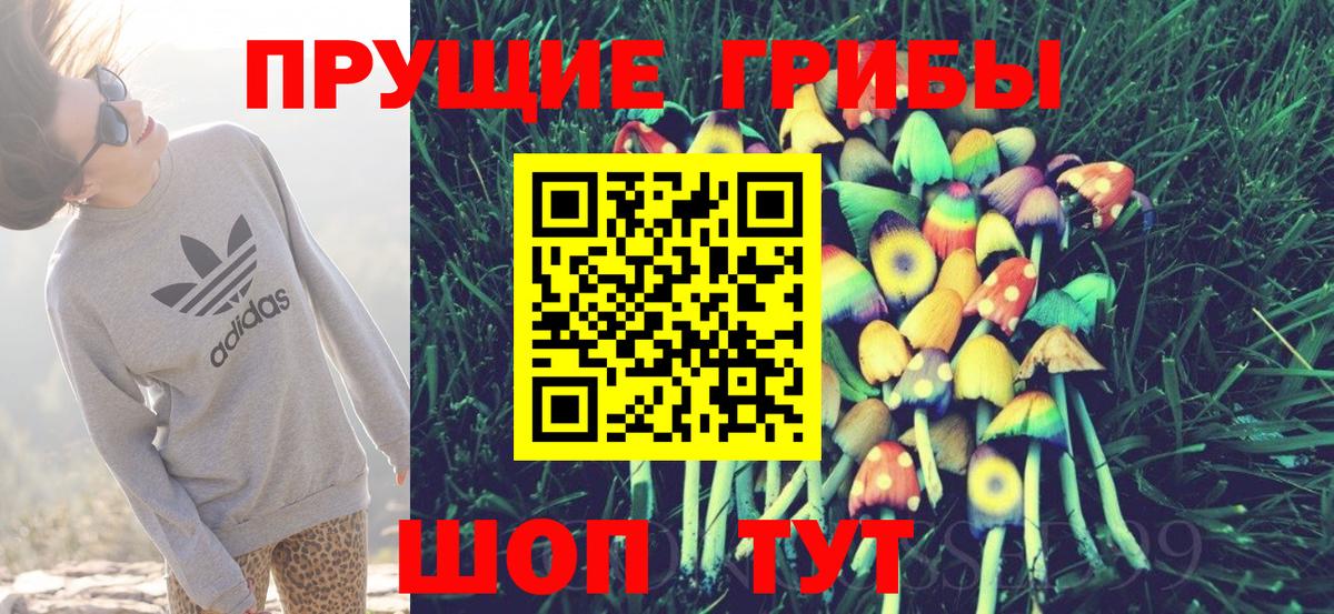 Псилоцибиновые грибы Psilocybe  Вход с VPN  Минусинск 